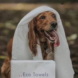 Eco Friendly Dog Towels