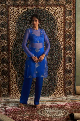 Neel Embroidered Straight  Co-ord set/ Kurta set