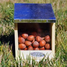 Squirrel Feeder